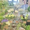 「【はなやホック皆生店】初夏の花々」