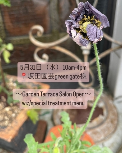 「土浦市坂田園芸様ガーデンテラスにて特別priceトリートメントを行わせて頂きます♡」
