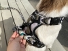 背面ハンドル付きハーネス「アクティブなワンちゃんにはハンドル付きハーネスがお勧めです!」