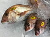 「魚魚市場鮮魚コーナーおすすめは「イサキ・クロ」です♪」