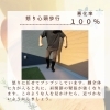 怒り心頭歩行です。アニメでしかみたことありません。「外反母趾が悪くなる動作はこちらです②」