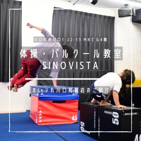 「体操・パルクール教室SINOVISTA【まいぷれ川口掲載店のご紹介】」