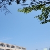 「本日運動会日和☀️」