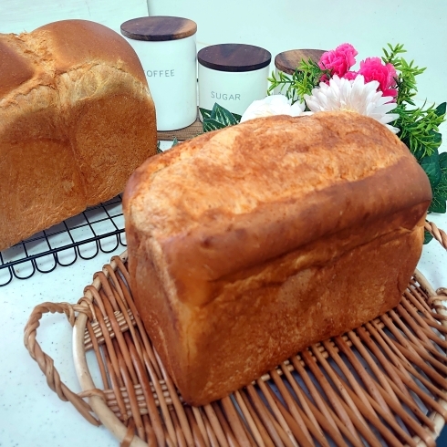 バタートップ　山型食パン「パン教室　自宅パン教室」