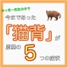 猫背が原因でよくある５つの症状