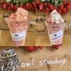 owlstrawberryさんが来ます♪