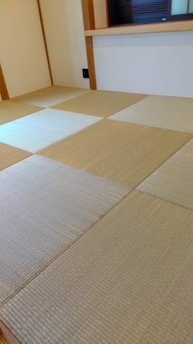 大分県産青表使用「琉球畳」「琉球畳 大分県国東で栽培、収穫後半動力による手織りされた「青表」を半畳の畳床に巻きつける様に縫い付けた日本国産琉球畳の施工いたします!当店は日本国産畳材料を使用した畳の施工にずっとこだわります。」