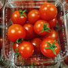 「「ミニトマト」の入荷も始まりましたよー！ 岩手県産　JA江刺「ミニトマト」」