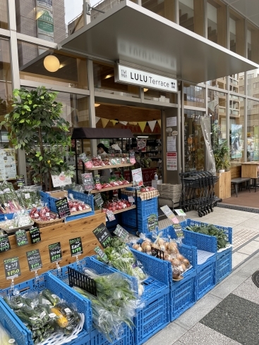 午後に納品させて頂くことが多いです！「☆カラフル野菜の小山農園、ルルテラスに納品開始☆」