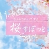 平戸市の花見スポット