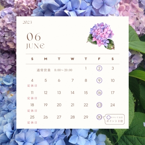 6月カレンダー「6月の営業カレンダー」
