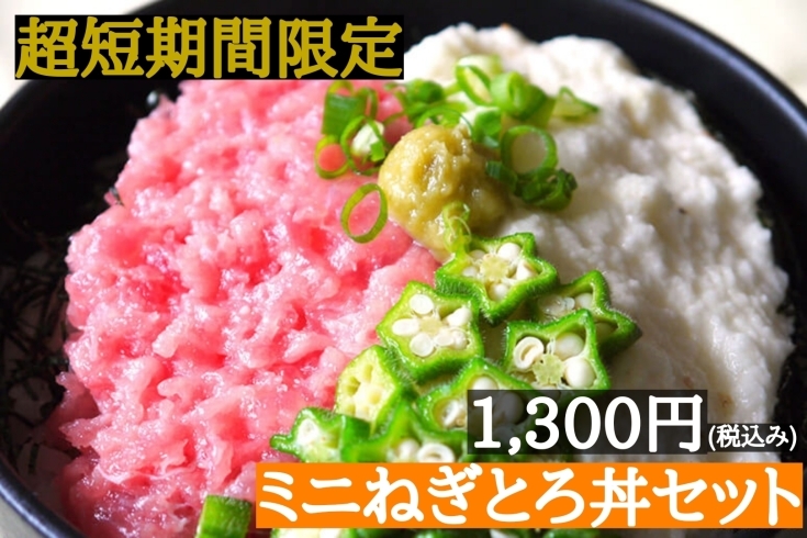 短期間限定発売「ランチタイムにお勧め！更科ヘルシー丼セット新登場♪」