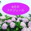 6月のスケジュール変更あります❣️