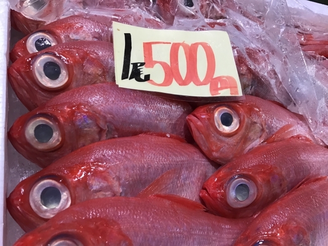 「魚魚市場鮮魚コーナーおすすめは「キンメダイ・チカメキントキ」です♪」