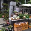 日蓮宗妙栄院★新鮮野菜とお花の無人販売所（すいか、キャベツ、安納いも、さつまいも、たまねぎ）［2023年5月31日（水）］