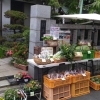 日蓮宗妙栄院★新鮮野菜とお花の無人販売所（すいか、キャベツ、安納いも、さつまいも、たまねぎ）［2023年5月31日（水）］