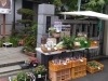 「日蓮宗妙栄院★新鮮野菜とお花の無人販売所（すいか、キャベツ、安納いも、さつまいも、たまねぎ）［2023年5月31日（水）］」