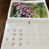 6月のスケジュール