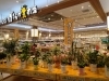 「出荷のお知らせ」