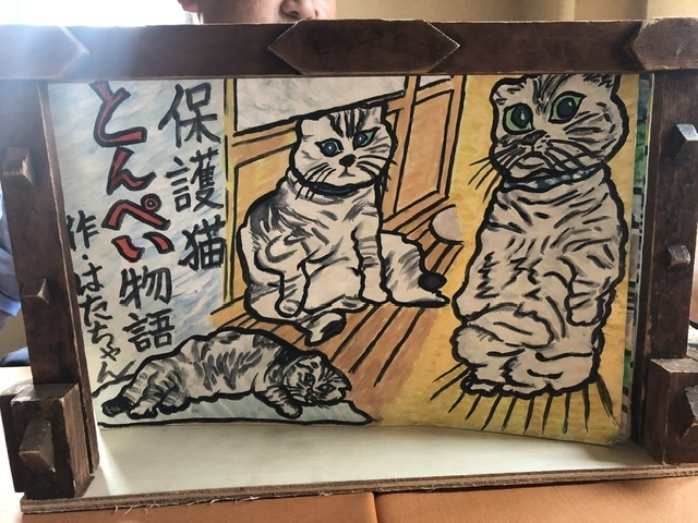 紙芝居インフルエンサー「猫に困ったらご相談を、サポートさせていただきます(活動地域は主に奈良県中南部、それ以外もご相談下さい」