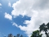 「6月のメッセージとお知らせ⭐️(対面セッションご予約可能日)」