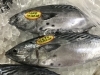 「魚魚市場鮮魚コーナーおすすめは「ヤイトガツオ・本ガツオ」です♪」