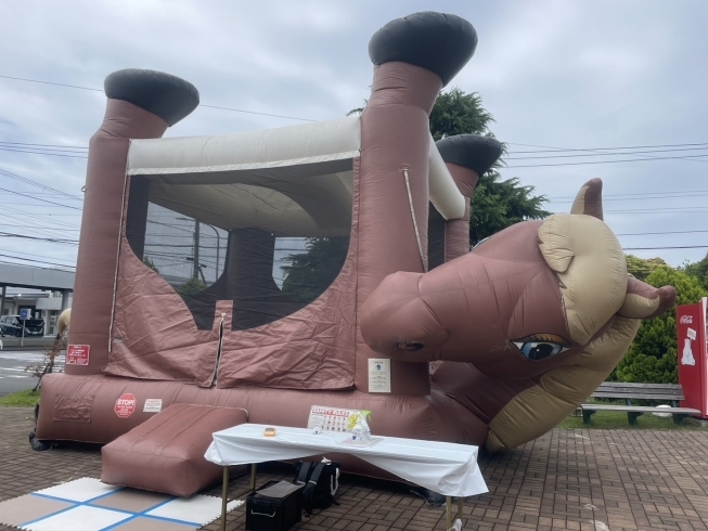 ふわふわホース「雨上がりました！！【木更津市民会館の隣りにある総合住宅展示場】」