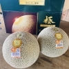 岩手県南青果市場に 茨城県産「プレミアムメロン　極」が初入荷していましたよー