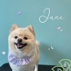 お友達♡ Dog salon mofu mofu 余市町