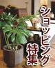 「～山陰ぶらり～ショッピング特集」