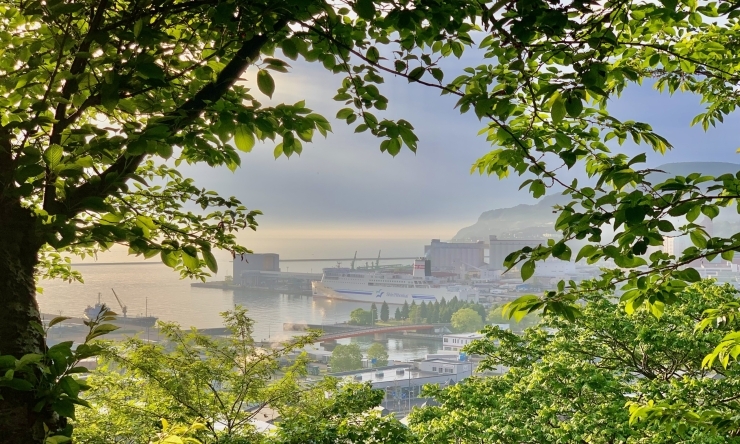 今朝の小樽「Good morning Otaru!  小樽の古民家ゲストハウスより」