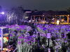 昨年（2022年）の様子「2日間限定「堀切菖蒲園」のライトアップ【2023年6月9日（金）・10日（土）19時～21時】葛飾菖蒲まつり2023」