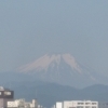 梅雨入り間近です。