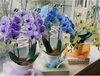 「カラフルな胡蝶蘭♪【越前市/花屋/生花/フラワーアレンジメント/ふるーれ・T】」