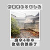 和歌山市松江伐採作業かんりょう「【和歌山市松江】庭木4本の伐採・抜根作業を行いました！」