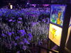 「夜に輝く花菖蒲♪2日間限定「堀切菖蒲園ライトアップ」2023年6月9日（金）・10日（土）19時～21時【葛飾菖蒲まつり2023】」