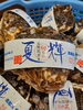 旬の食材　岩ガキ！「『旬』真っ只中の岩ガキ！」