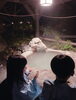 霧島市一泊家族旅行♡「今週のサロン予定のご案内です♪【宮崎市 LIHI 脳洗浄 筋膜リリース よもぎ蒸し 肌育】」