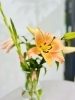 お花「カサブランカが綺麗に咲いています♪」