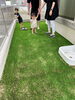 「裸足で遊べる庭づくり❗️❗️」