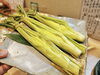 「旬のお野菜・・・★　【季節・旬を感じるお料理】」