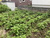 「清田中の皆さん、いよいよ定期テストです！」