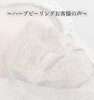 「~口コミでいただいたお客様の声~【  福井 / 福井市 / エステ / ハーブピーリング / ハーブ  】」