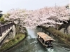 「【編集部ニュース】京都･城下町伏見の『十石舟・三十石船の歴史』を紹介します‼　＠京ちゃんの伏見ヒストリー日記 　」