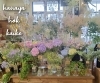 「【はなやホック皆生店】涼やかな季節のお花、グリーン豊富です。」