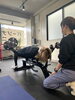 トレーニング風景「《運動不足解消トレーニング！！》八王子パーソナルジムBAILES」