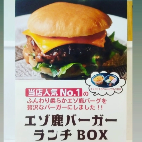 「6月17日藤沢駅前広場で開催の [MARKET251]に出店致します  人気のエゾシカハンバーグをこの日限定でハンバーガーにして提供致します」