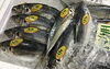 「魚魚市場鮮魚コーナーおすすめは「お魚セット」です♪」