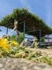 「北鍵屋公園利活用プロジェクト」