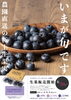 「いまが旬！農園直送の極上生果実★つくばブルーベリーゆうふぁーむ『初摘みフレッシュブルーベリー』2023年6月20日（火）より店頭に並びます！亀有『Blue THE Berry（ブルーザベリー）』さん♪［店頭販売は火水木のみ］」